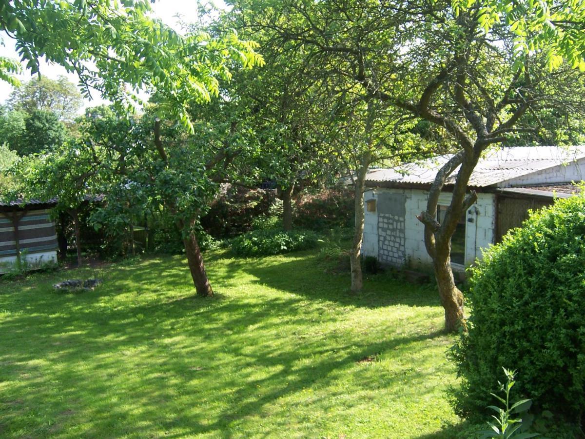 Ferienwohnung Marienhof Erdgeschoss Seelbach  Dış mekan fotoğraf